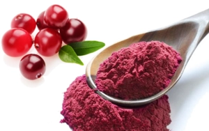 Cranberry Extract